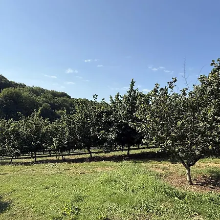 Σπίτι διακοπών Ticoulat